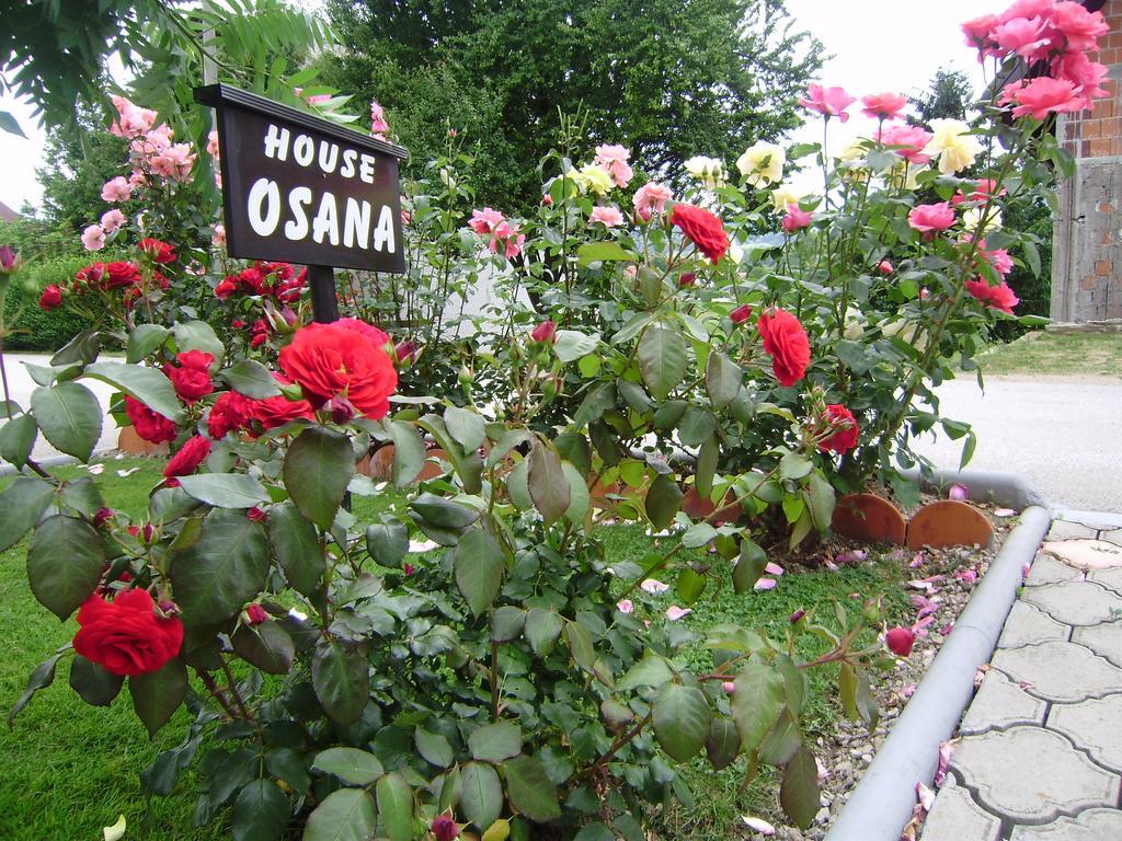 House Osana Hotel Grabovac  Exterior photo